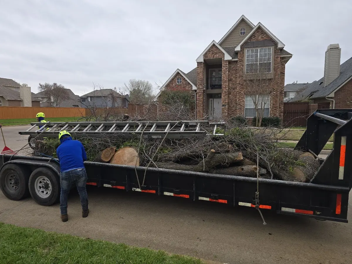 Expert Lot Clearing with proper safety equipment in Cripple Creek